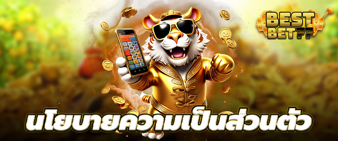 นโยบายความเป็นส่วนตัว